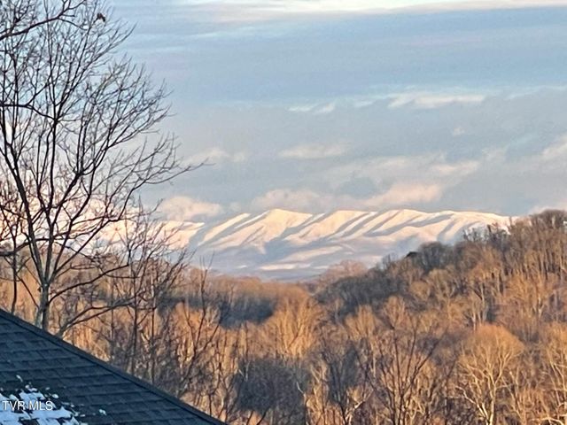 512 Wood View Court, Kingsport, TN 37664