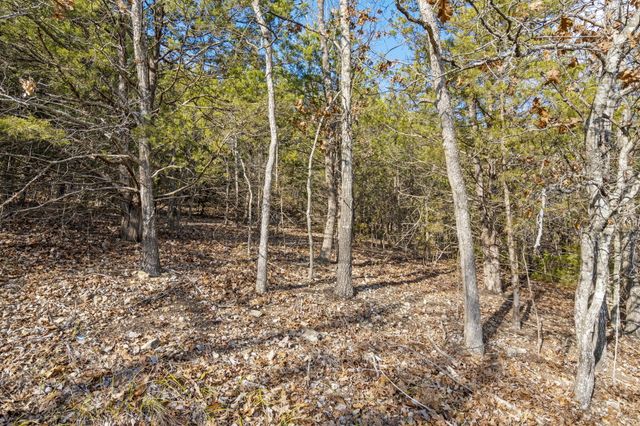 Lot 7 Elm Drive, Kimberling City, MO 65686