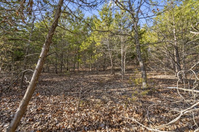 Lot 7 Elm Drive, Kimberling City, MO 65686