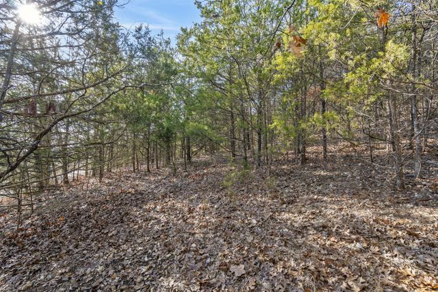 Lot 7 Elm Drive, Kimberling City, MO 65686