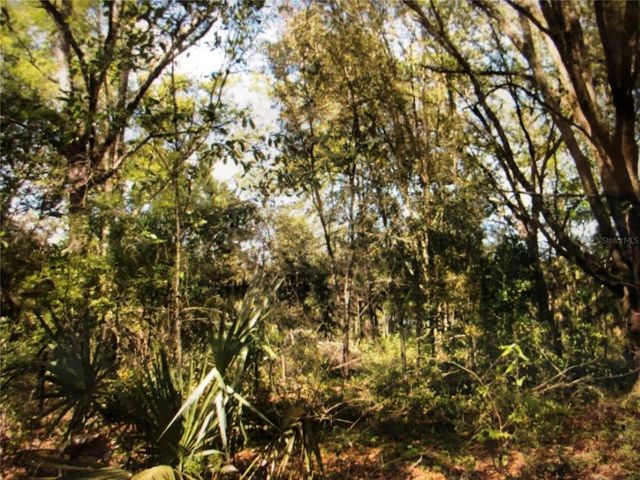 0 NE 128TH AVENUE, Williston, FL 32696