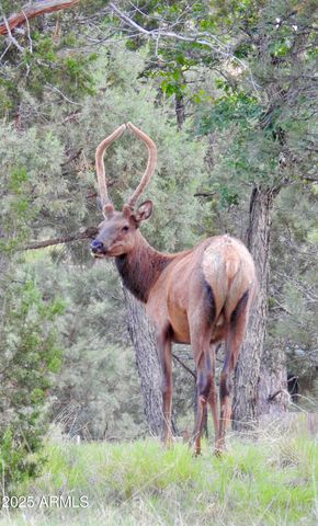 2740 JAVALINA Circle, Happy Jack, AZ 86024