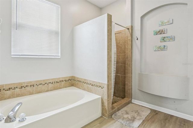 29704 EAGLE STATION DRIVE, Wesley Chapel, FL 33543