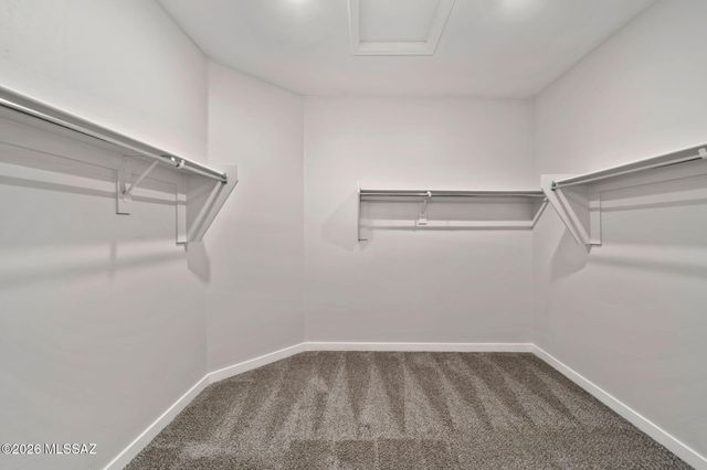 11105 S Silver Fern Drive, Vail, AZ 85641