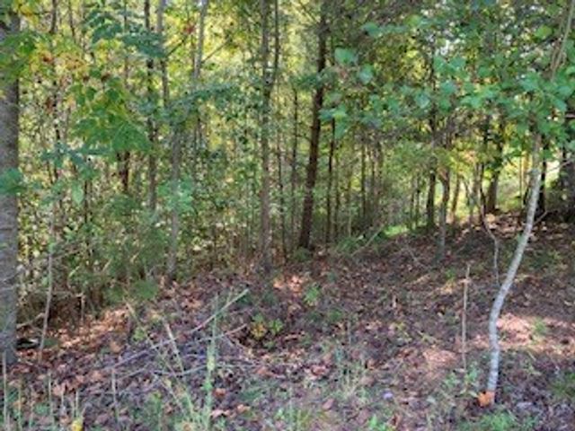 Lot 25 Birchwood Drive, Ellijay, GA 30540
