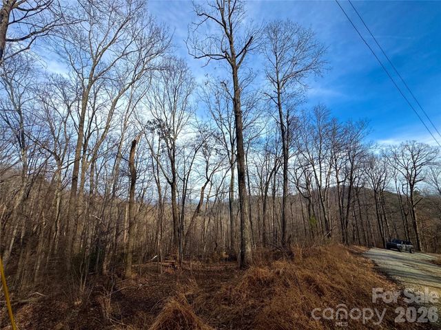 0 Peartree Drive, Lake Lure, NC 28746