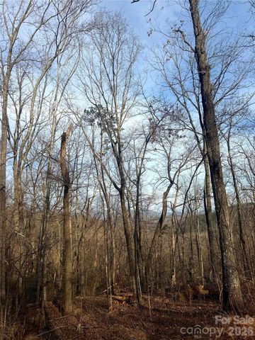 0 Peartree Drive, Lake Lure, NC 28746