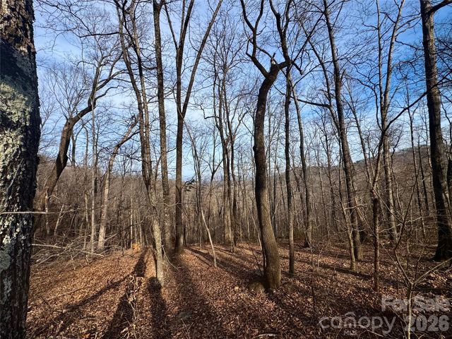 0 Peartree Drive, Lake Lure, NC 28746