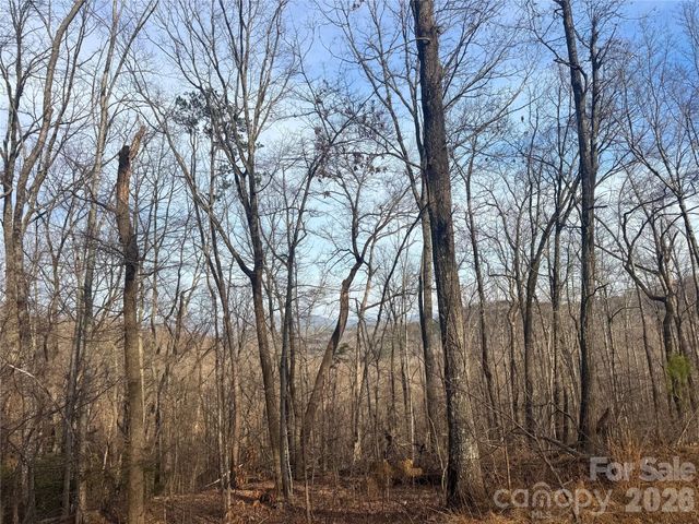 0 Peartree Drive, Lake Lure, NC 28746