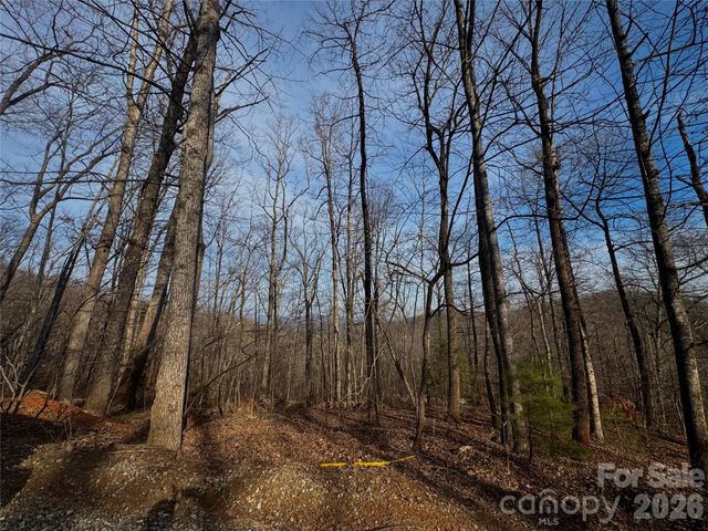 0 Peartree Drive, Lake Lure, NC 28746