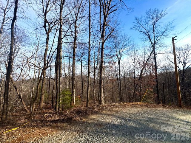0 Peartree Drive, Lake Lure, NC 28746