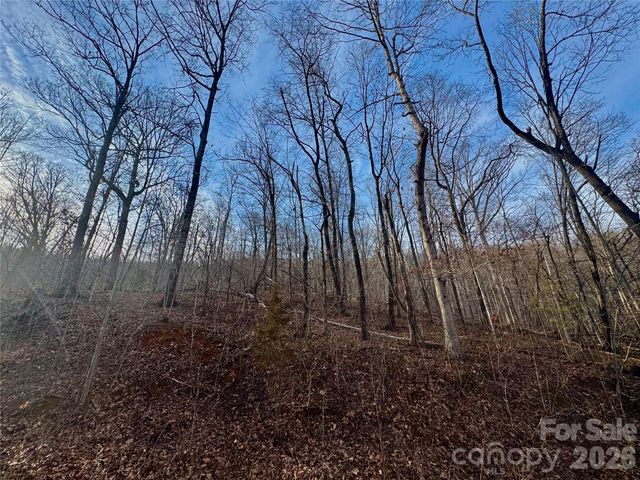 0 Peartree Drive, Lake Lure, NC 28746