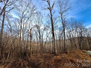 0 Peartree Drive, Lake Lure, NC 28746