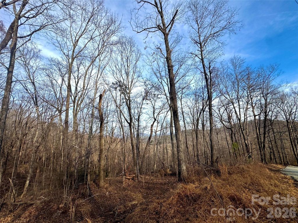 0 Peartree Drive, Lake Lure, NC 28746