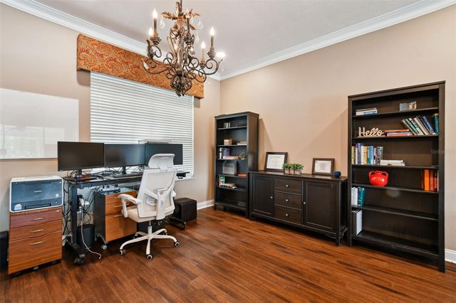 17737 ESPRIT DRIVE, Tampa, FL 33647