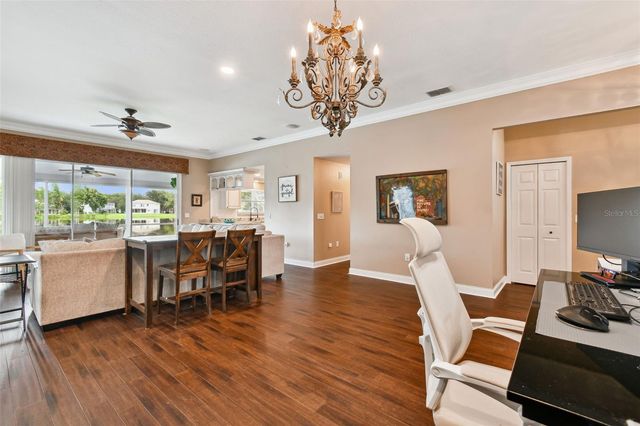 17737 ESPRIT DRIVE, Tampa, FL 33647