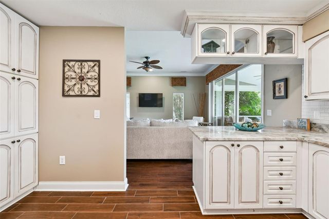 17737 ESPRIT DRIVE, Tampa, FL 33647