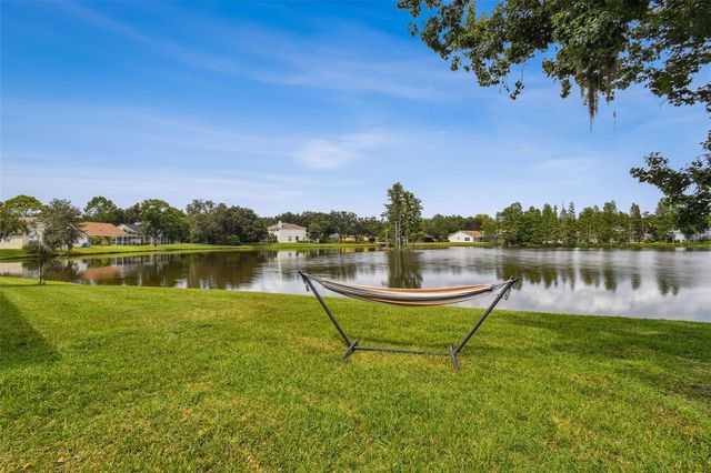 17737 ESPRIT DRIVE, Tampa, FL 33647