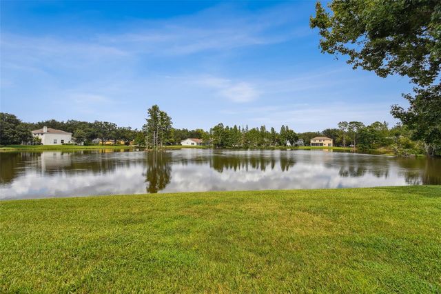 17737 ESPRIT DRIVE, Tampa, FL 33647