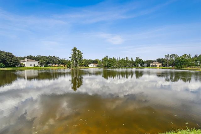 17737 ESPRIT DRIVE, Tampa, FL 33647