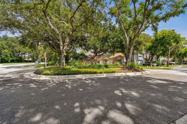 17737 ESPRIT DRIVE, Tampa, FL 33647