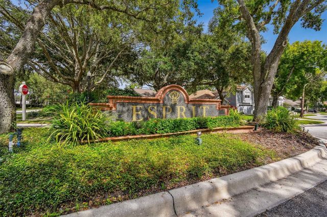 17737 ESPRIT DRIVE, Tampa, FL 33647