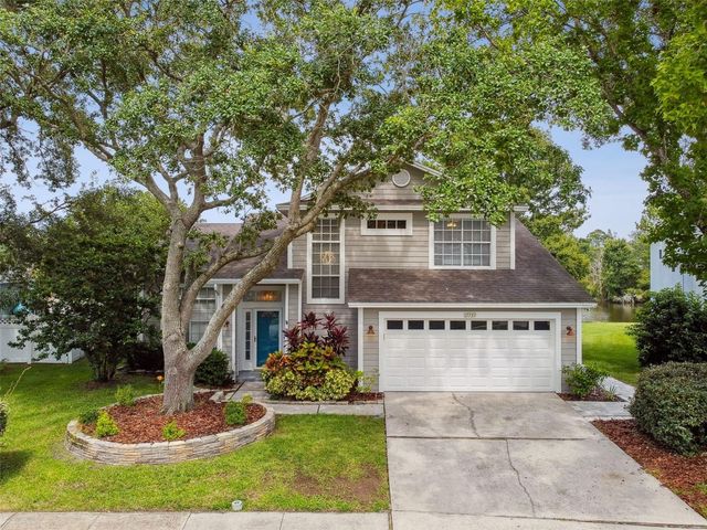 17737 ESPRIT DRIVE, Tampa, FL 33647