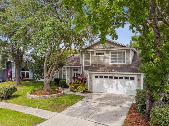 17737 ESPRIT DRIVE, Tampa, FL 33647