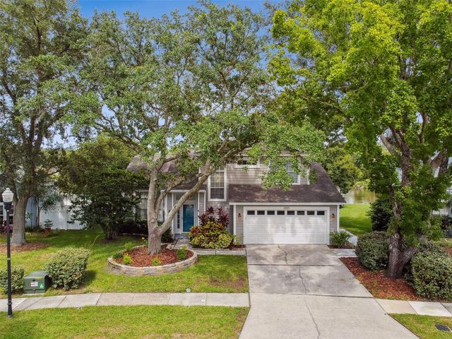 17737 ESPRIT DRIVE, Tampa, FL 33647