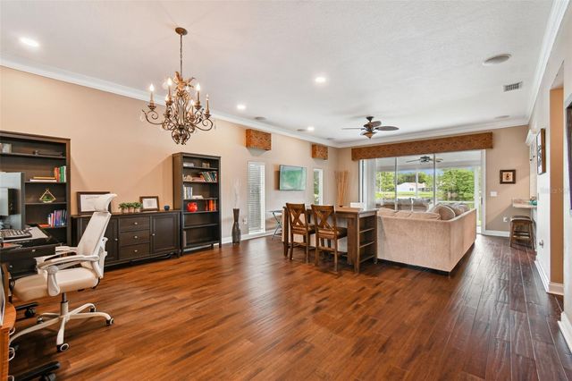 17737 ESPRIT DRIVE, Tampa, FL 33647