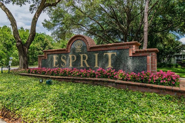17737 ESPRIT DRIVE, Tampa, FL 33647