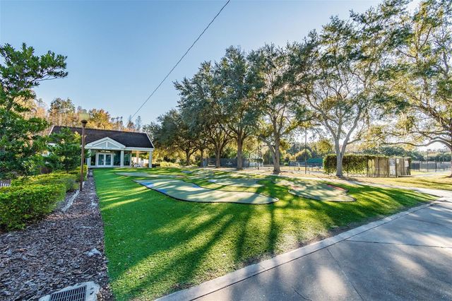 17737 ESPRIT DRIVE, Tampa, FL 33647