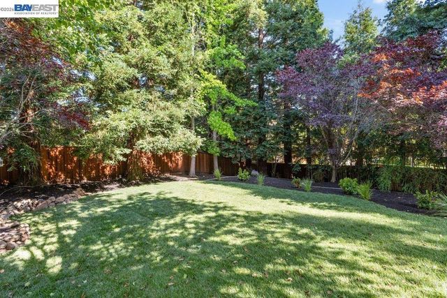 728 Anderson Ranch Ct, Alamo, CA 94507