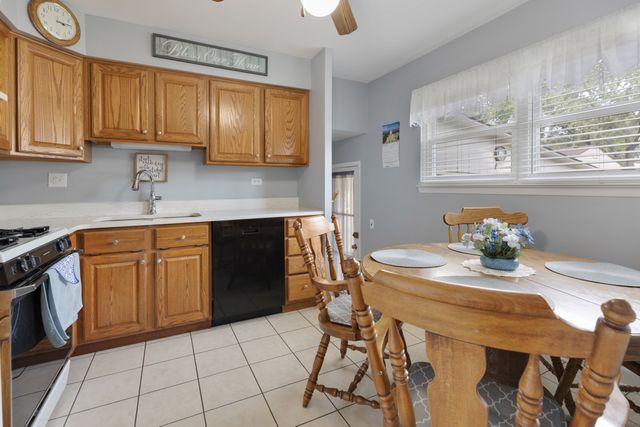 243 N Richards Drive, Palatine, IL 60074