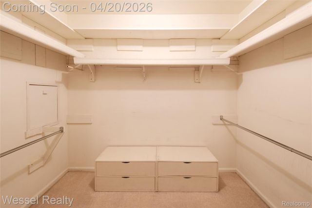 53659 Wolf Drive, Shelby Charter Township, MI 48316
