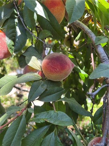 18 Paseo Canos, San Clemente, CA 92673