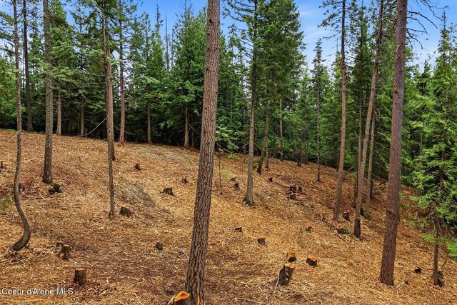 NNA Cedar Ridge, Dover, ID 83825