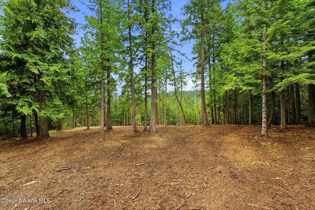 NNA Cedar Ridge, Dover, ID 83825
