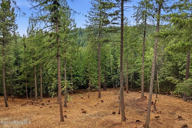 NNA Cedar Ridge, Dover, ID 83825