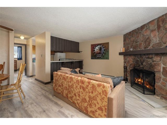 224 County Road 838 16-2, Fraser, CO 80442