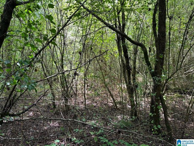 0.9 Acres BRANCH COVE, Odenville, AL 35120