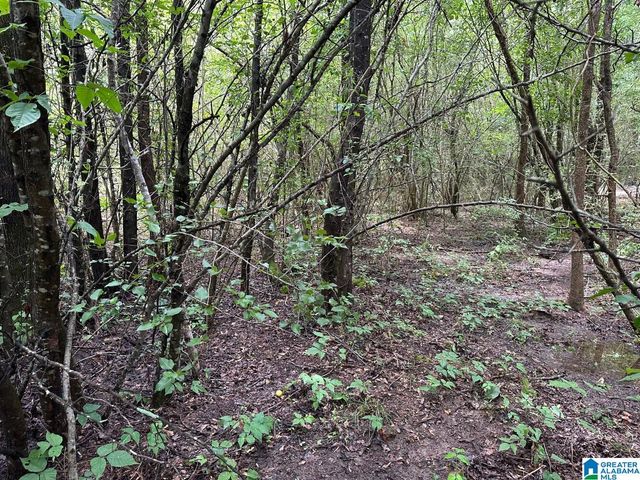 0.9 Acres BRANCH COVE, Odenville, AL 35120