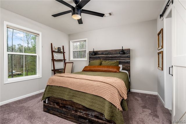 14102 Sipsey Valley S, Ralph, AL 35480