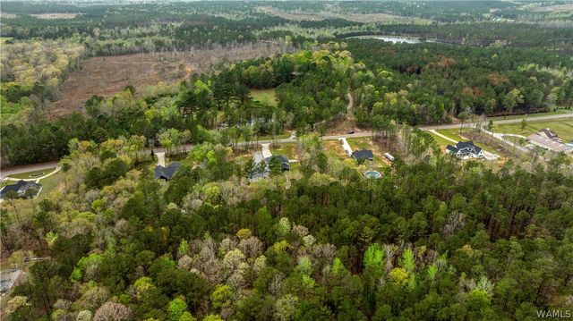 14102 Sipsey Valley S, Ralph, AL 35480