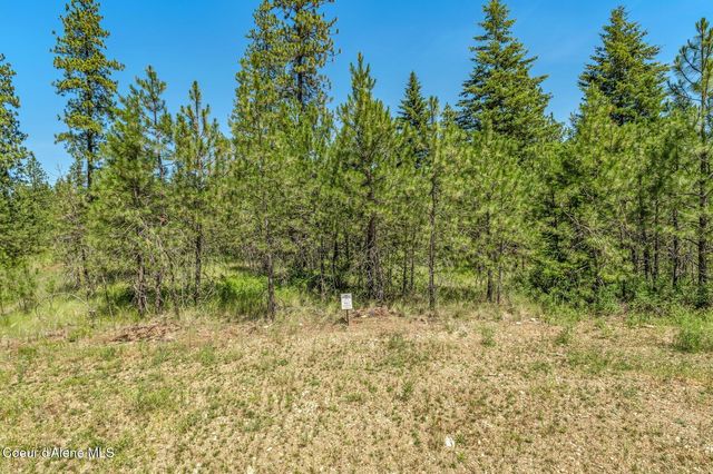 Lot 20 Asulkan St, Athol, ID 83801