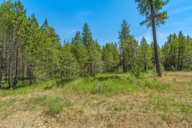 Lot 20 Asulkan St, Athol, ID 83801