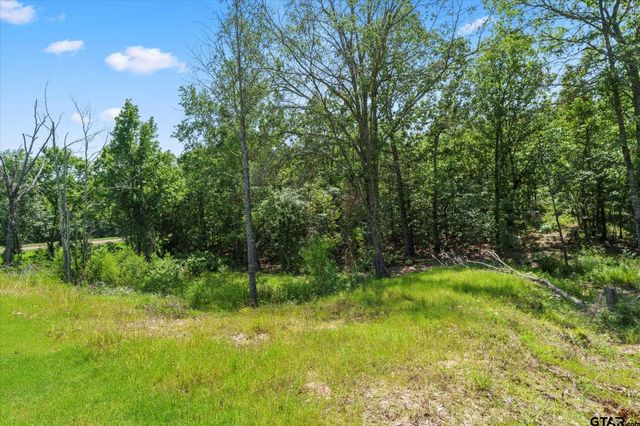 TBD Angler Shores Drive, Yantis, TX 75497