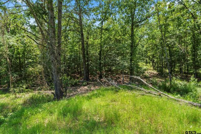 TBD Angler Shores Drive, Yantis, TX 75497