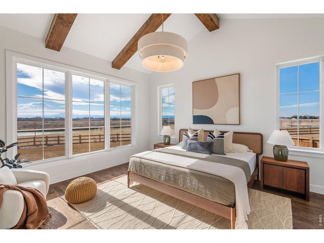 186 Blue Fortune Dr, Windsor, CO 80550