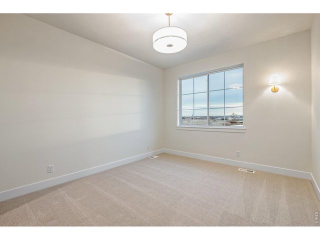 186 Blue Fortune Dr, Windsor, CO 80550